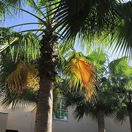 Villa Sao Rafael Holidays Albufeira