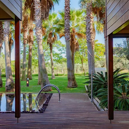Villa Sao Rafael Holidays *